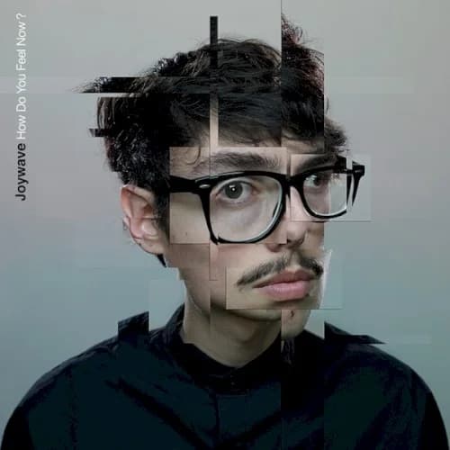 Joywave - How Do You Feel Now? (10th Anniversary Edition)