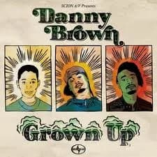 Danny Brown - Grown Up