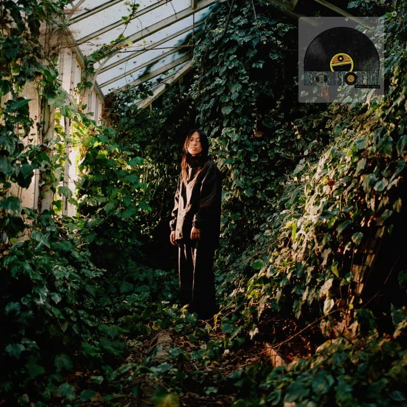 Deb Never - Hellooo / Radio Alice